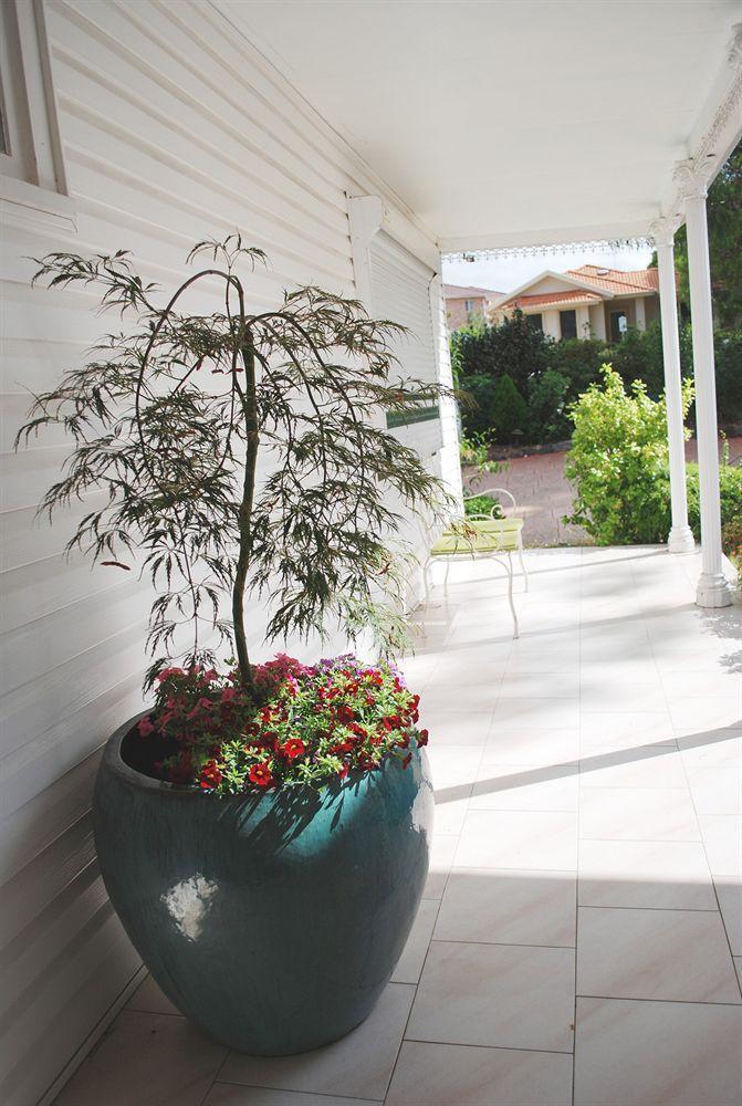 Gasthof North Ryde 3*